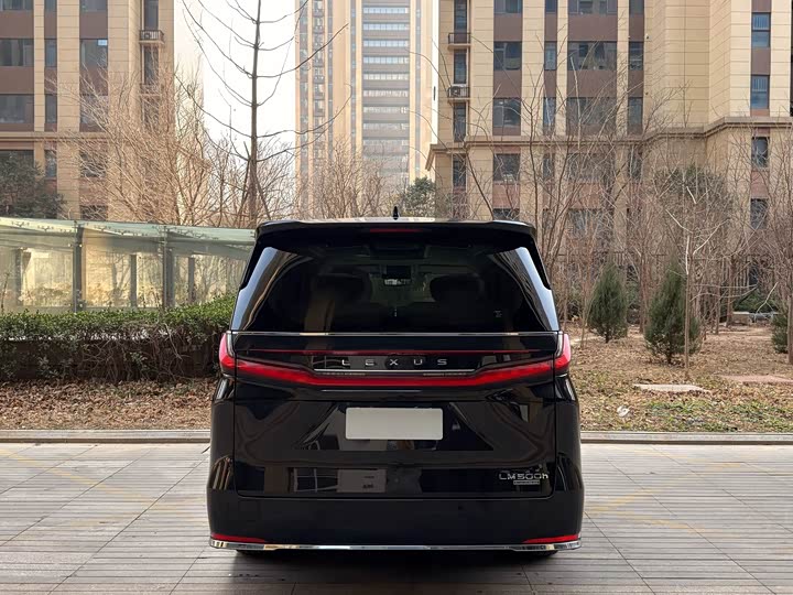 Фото 6 - Lexus LM