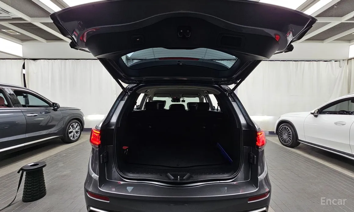 Фото 20 - Renault QM6