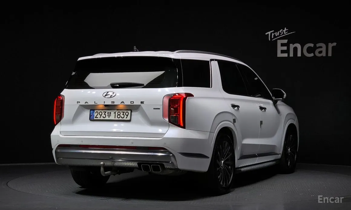 صورة 2 - Hyundai Palisade