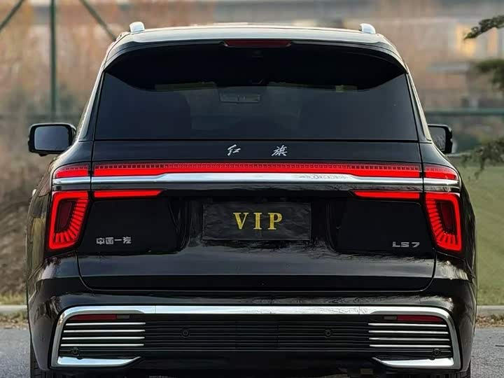 Фото 5 - Hongqi LS7 (Guoyao)