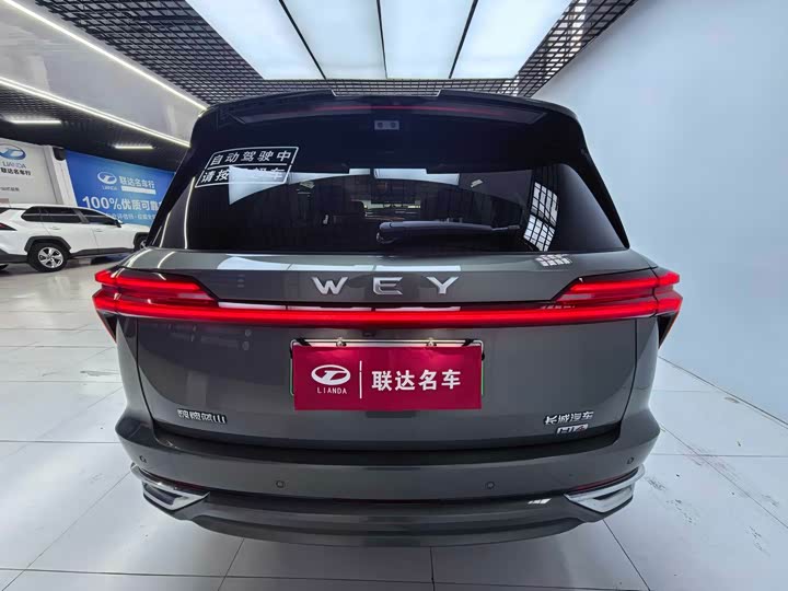 Фото 3 - Wey Lanshan