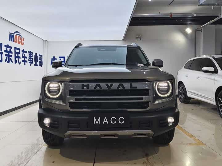 Фото 3 - Haval Dargo