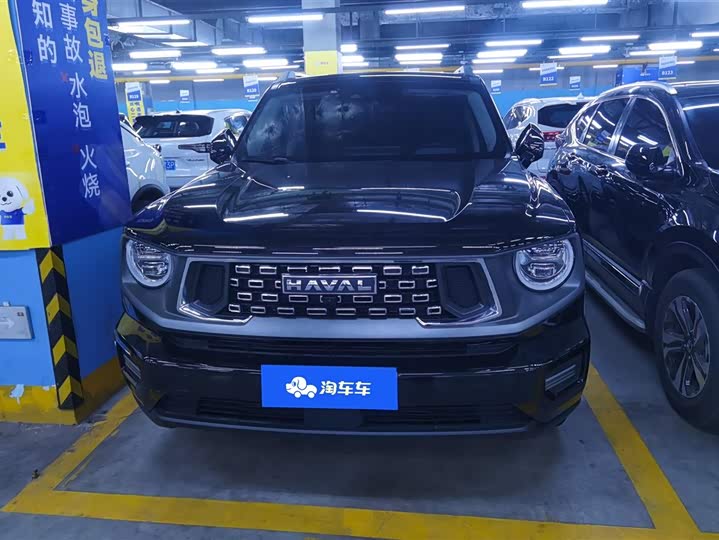 Фото 2 - Haval H-Dog