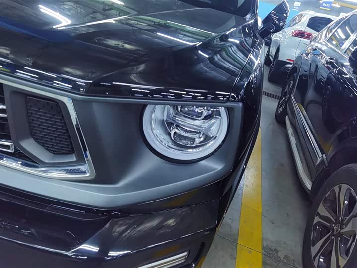 Фото 5 - Haval H-Dog