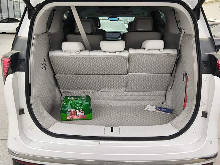 Фото 4 - Buick GL8 Hybrid