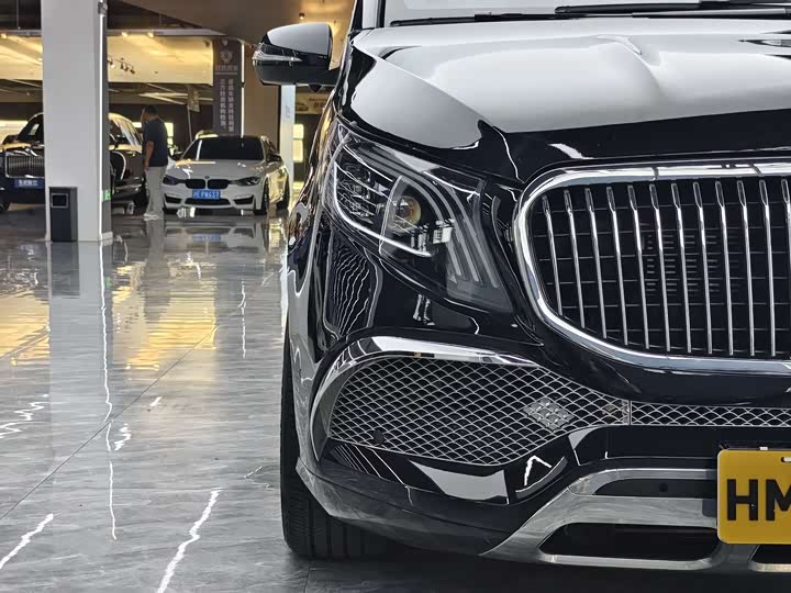 Mercedes-Benz V-Class 2022 2022款 V 260 领航版