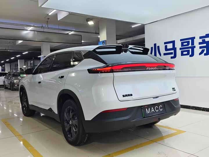 Фото 6 - Dongfeng Aeolus Sky EV01