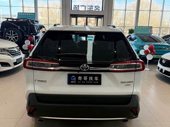 Фото 4 - Toyota Wildlander