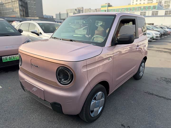 Фото 1 - Geely Galaxy Panda Mini