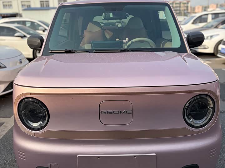 Фото 3 - Geely Galaxy Panda Mini