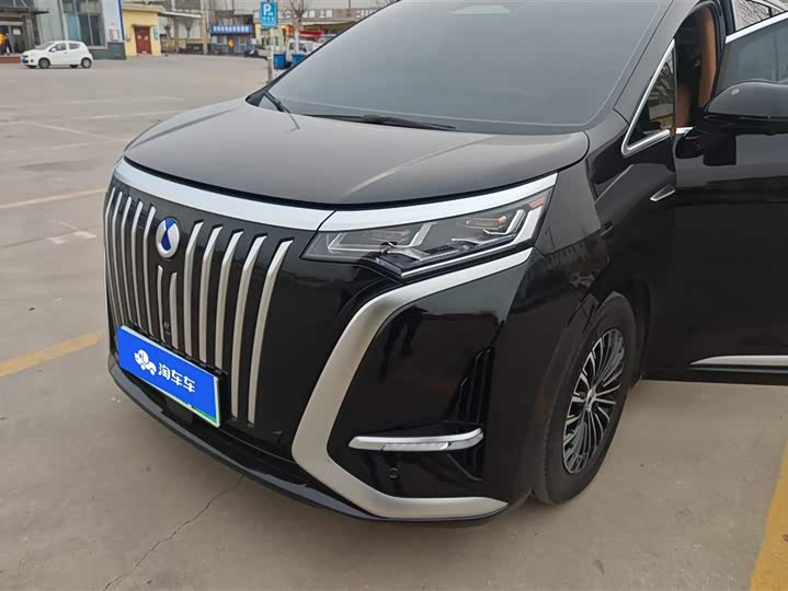 Фото 1 - Denza D9