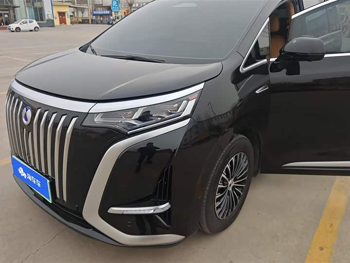 Фото 2 - Denza D9