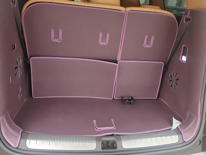 Фото 4 - Denza D9