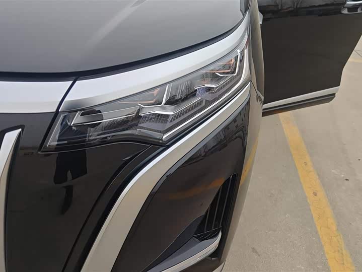 Фото 5 - Denza D9