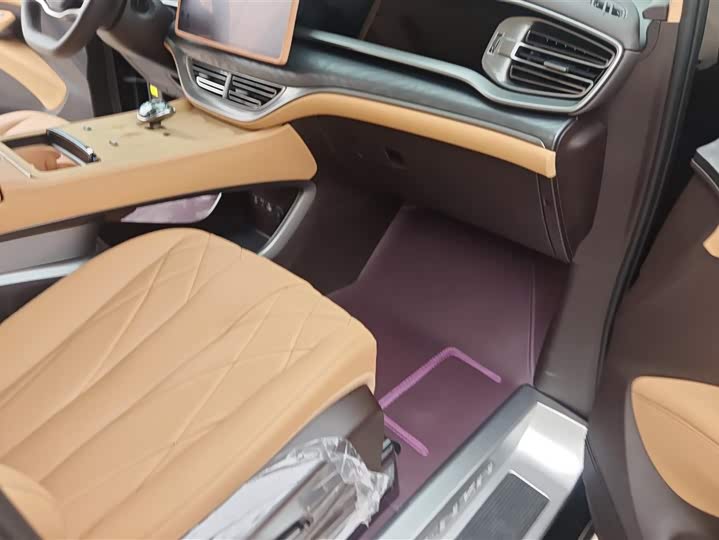 Фото 8 - Denza D9