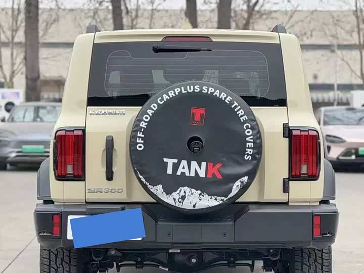 Фото 8 - Tank 300