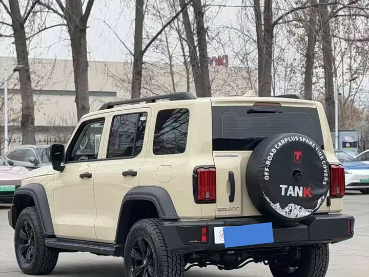 Фото 9 - Tank 300