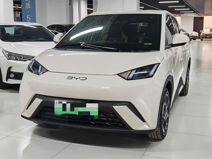 Фото 1 - BYD Seagull