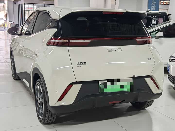 Фото 4 - BYD Seagull