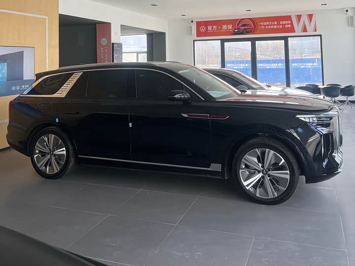 Фото 3 - Hongqi E-HS9