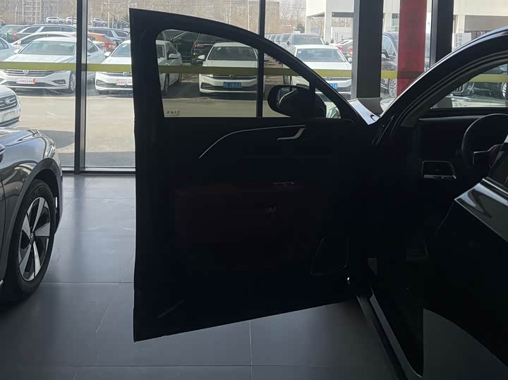 Фото 7 - Hongqi E-HS9