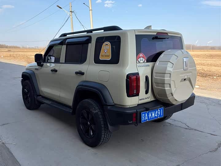 Фото 4 - Tank 300