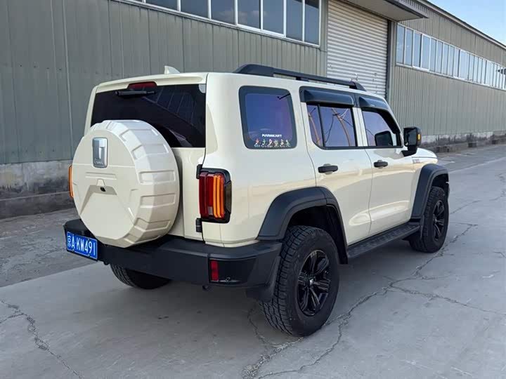 Фото 6 - Tank 300