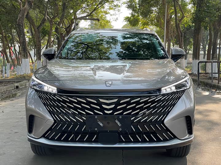 Фото 4 - Roewe RX5