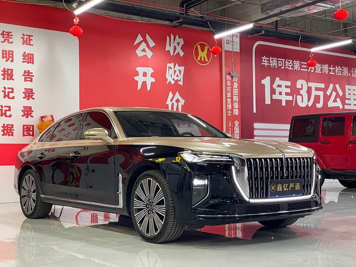 Фото 3 - Hongqi H9