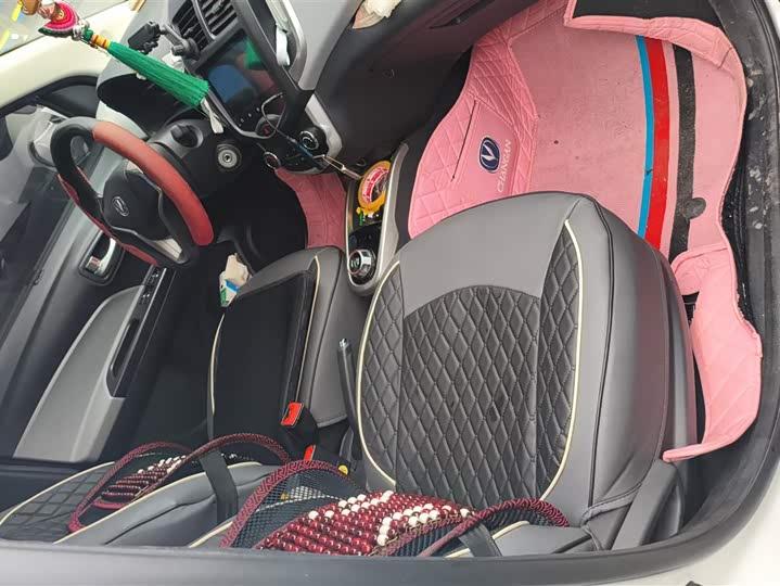 Фото 8 - Changan BenBen E-Star