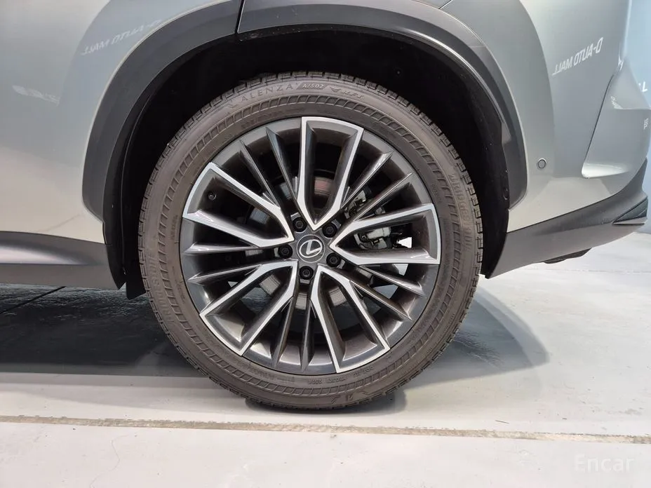 Фото 19 - Lexus NX