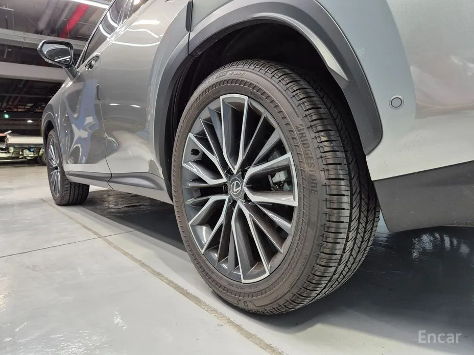 Фото 20 - Lexus NX