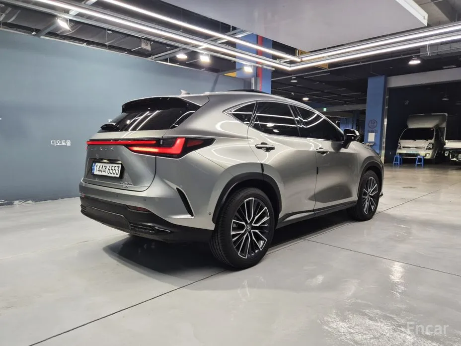 Фото 4 - Lexus NX