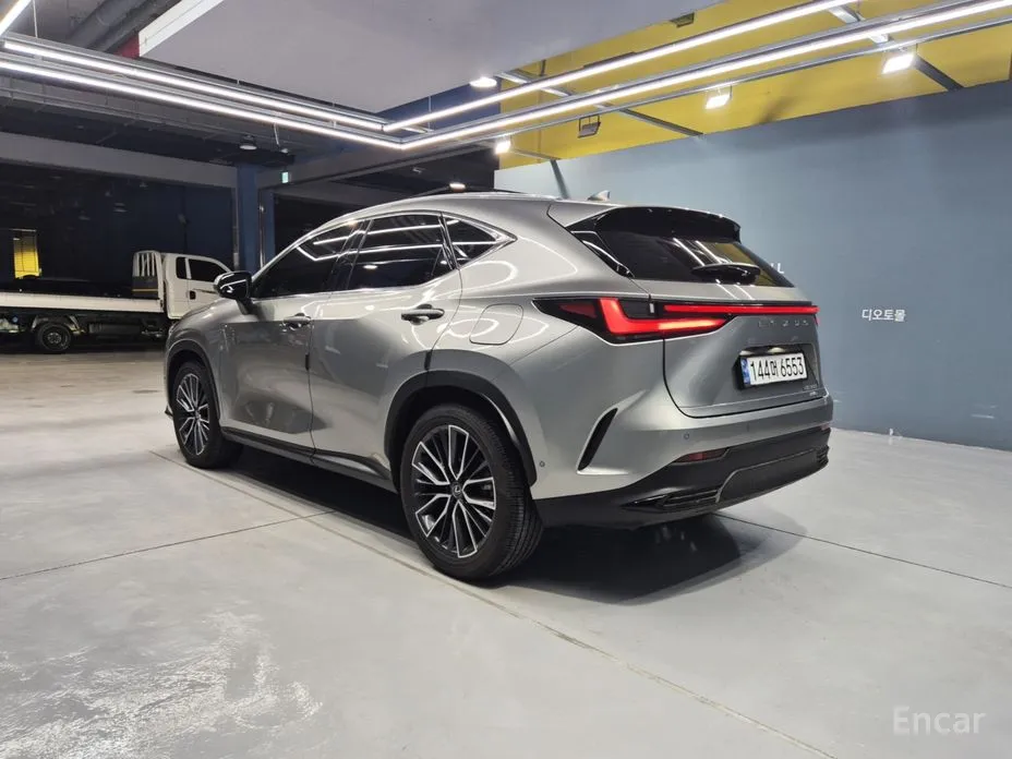 Фото 7 - Lexus NX