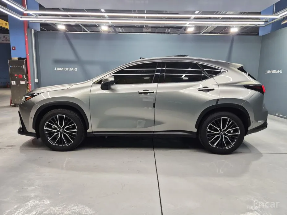 Фото 9 - Lexus NX