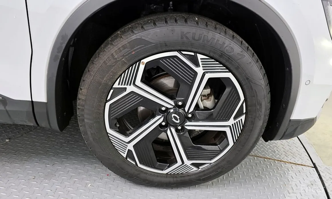 Фото 5 - Renault QM6