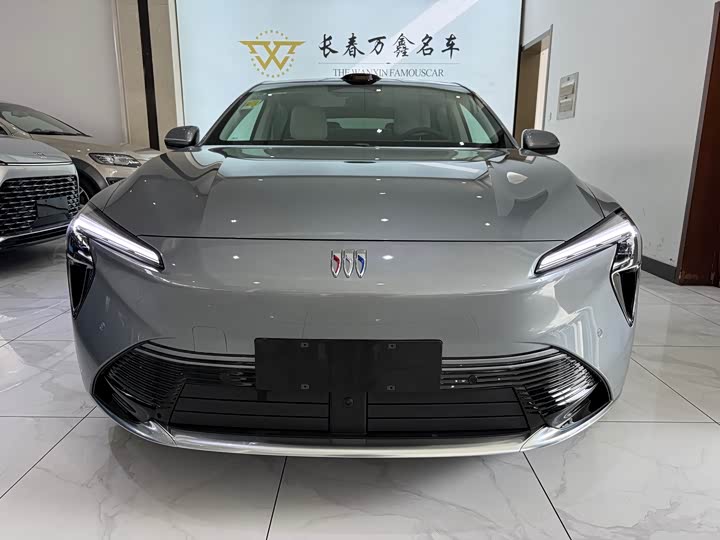 Фото 2 - Buick Electra L7