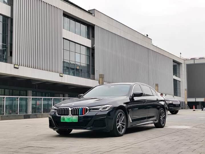 Фото 1 - BMW 5 Series Hybrid