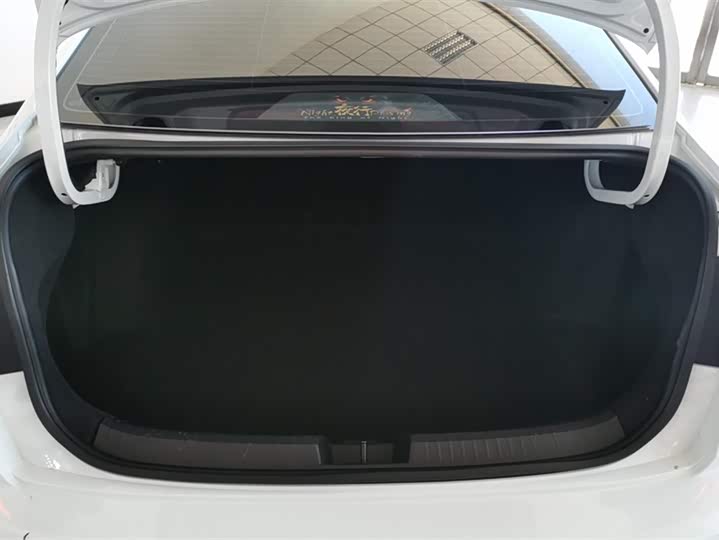 Фото 4 - Volkswagen Sagitar L