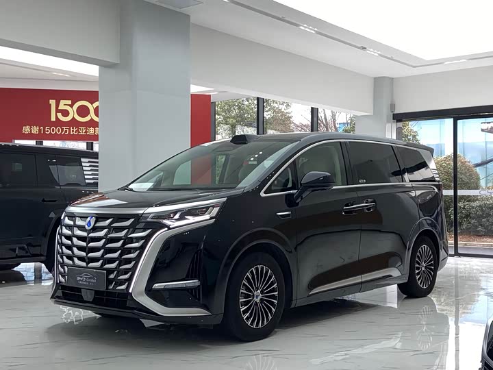 Фото 1 - Denza D9