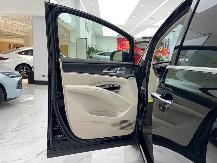 Фото 3 - Denza D9