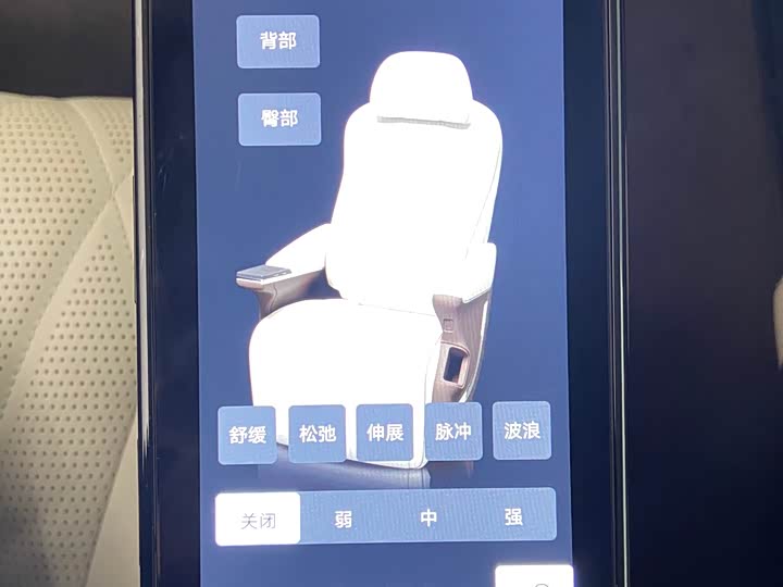 Фото 7 - Denza D9