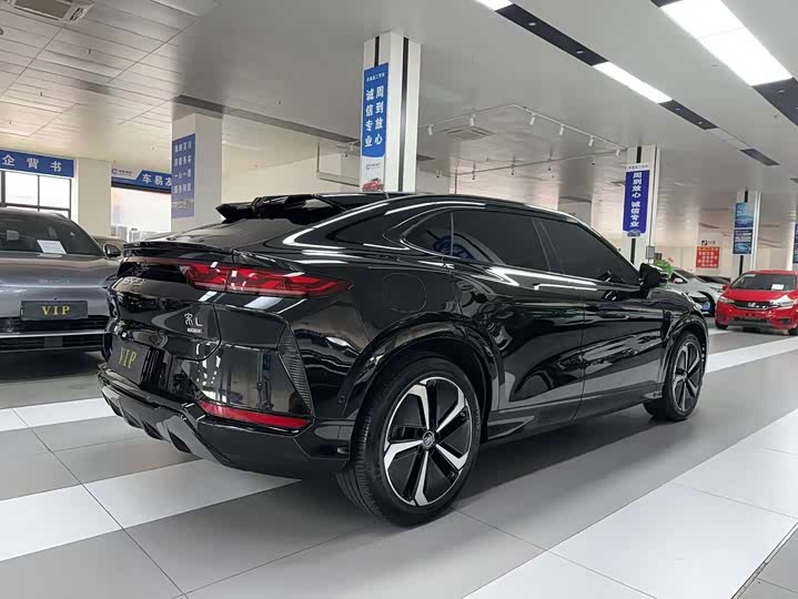 Фото 3 - BYD Song L