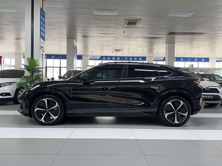 Фото 4 - BYD Song L