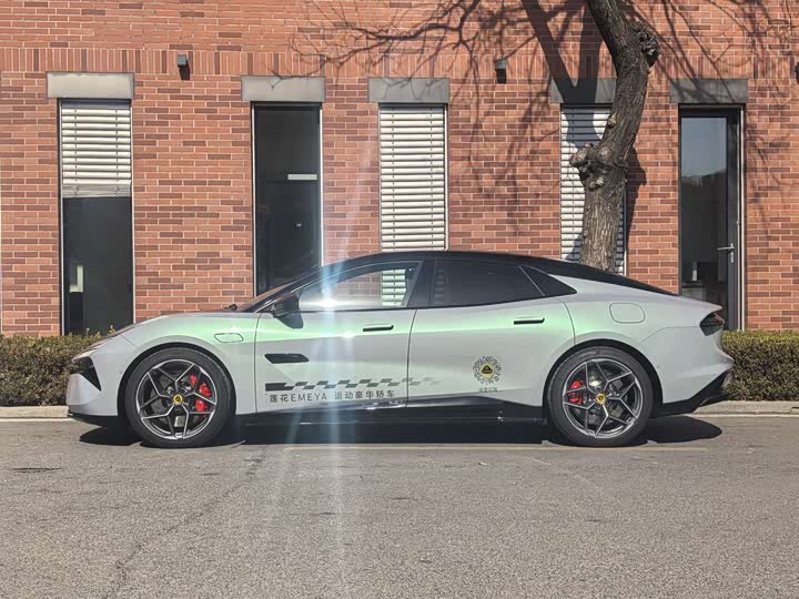 Фото 2 - Lotus Emeya