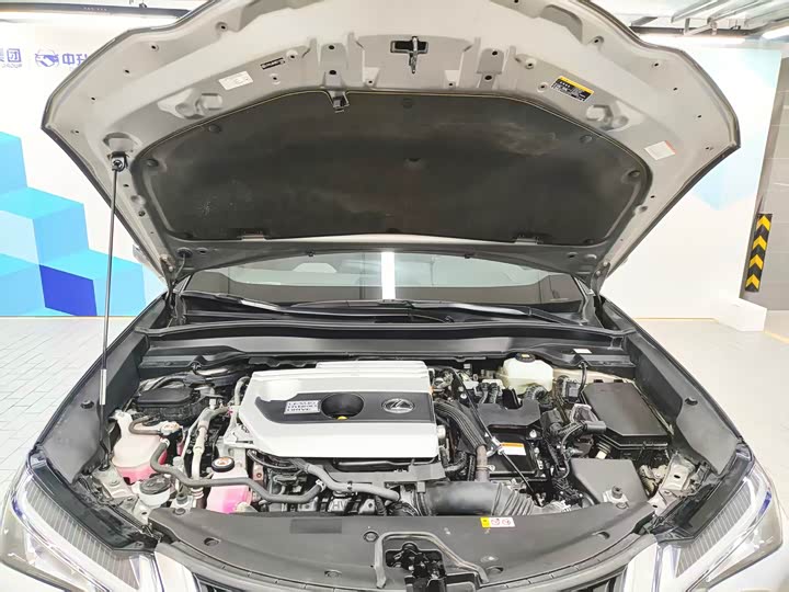 Фото 6 - Lexus UX