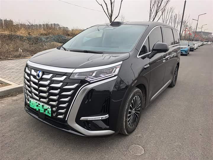 Фото 1 - Denza D9