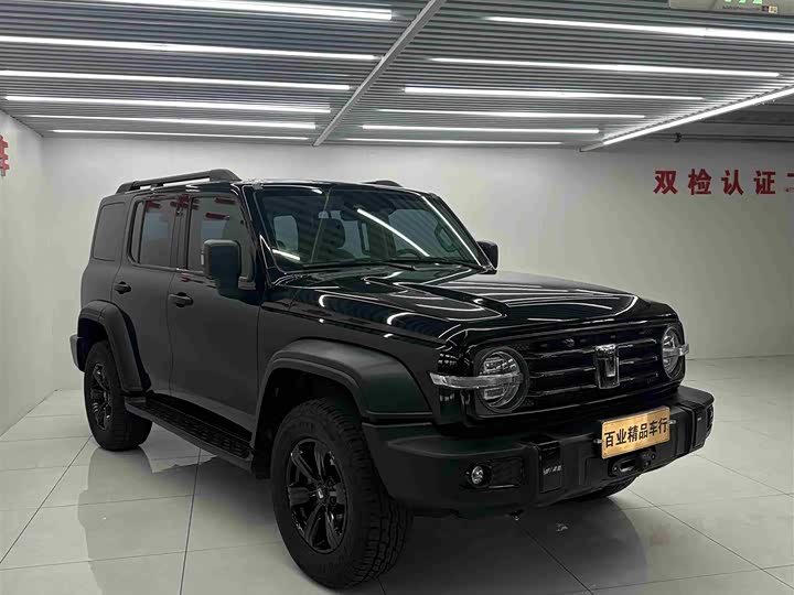 Фото 2 - Tank 300