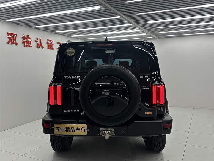 Фото 6 - Tank 300