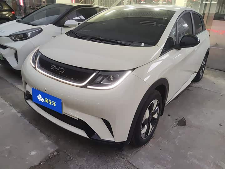 Фото 1 - BYD Dolphin